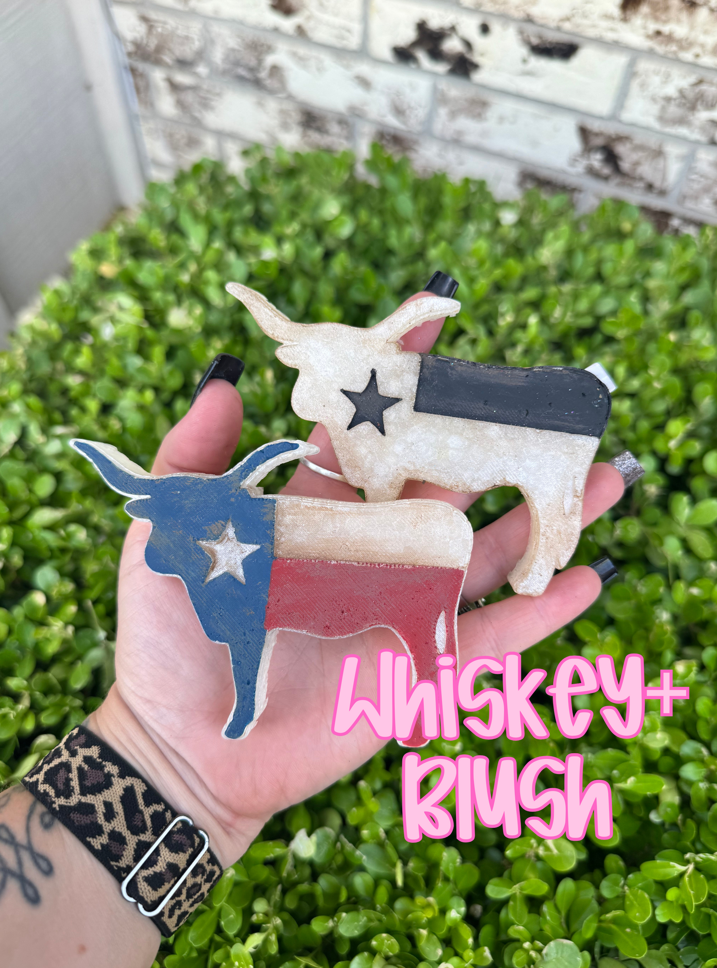 Longhorn freshie