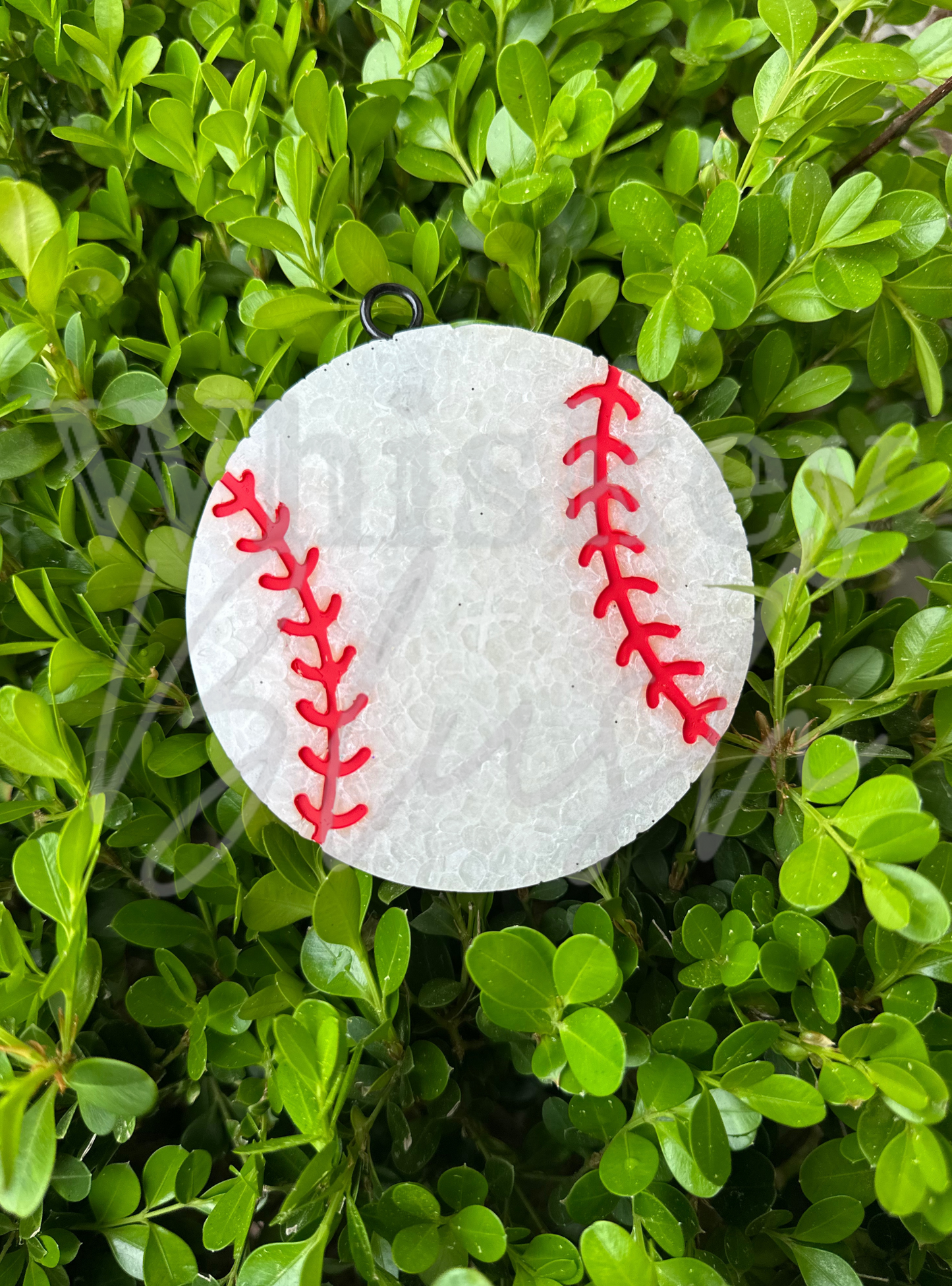 Baseball/softball freshie